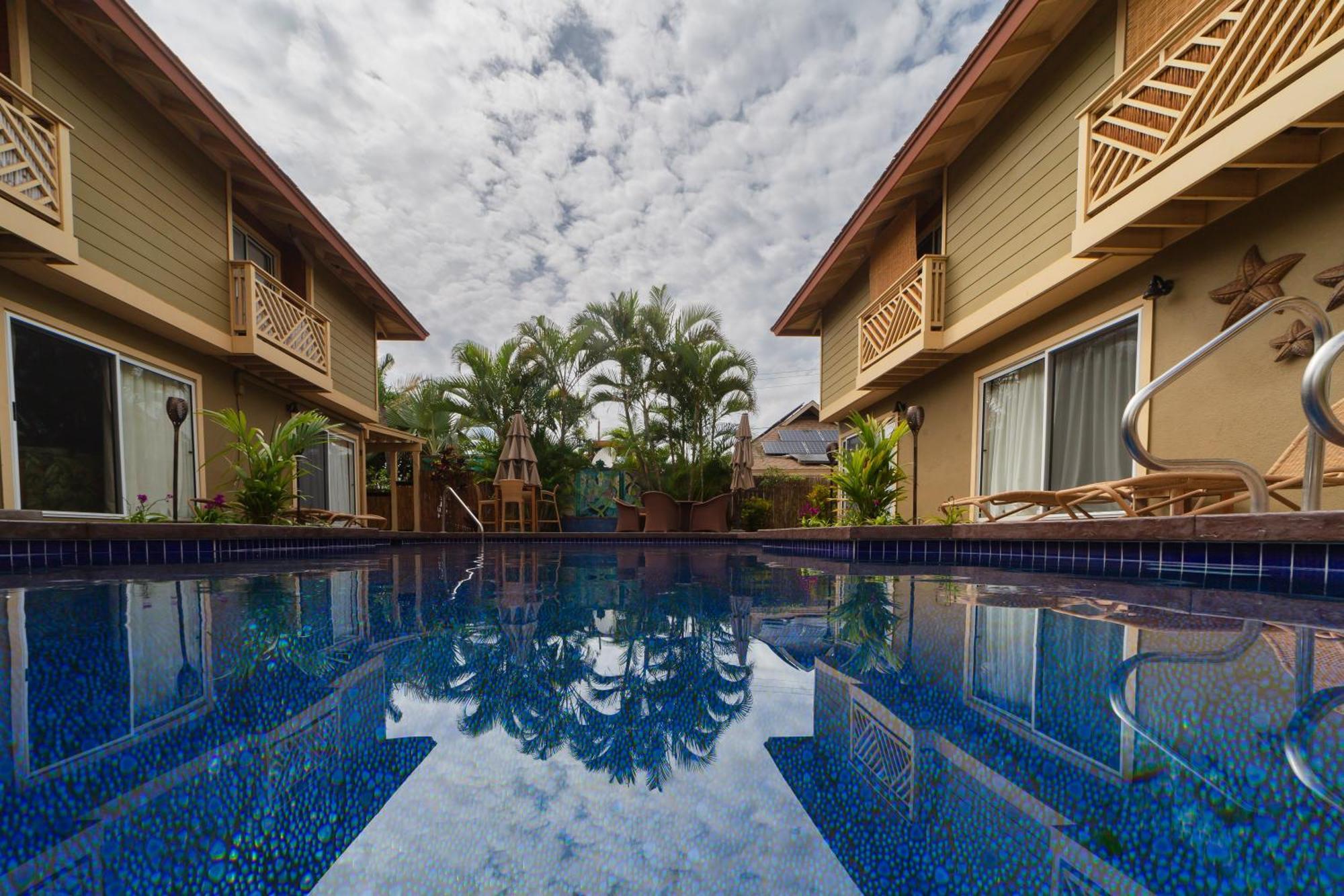 Lotus Suite, 1 Bedroom, Sleeps 4, Pool & Bbq, Pre-Renovation Summer Sale Kihei Εξωτερικό φωτογραφία