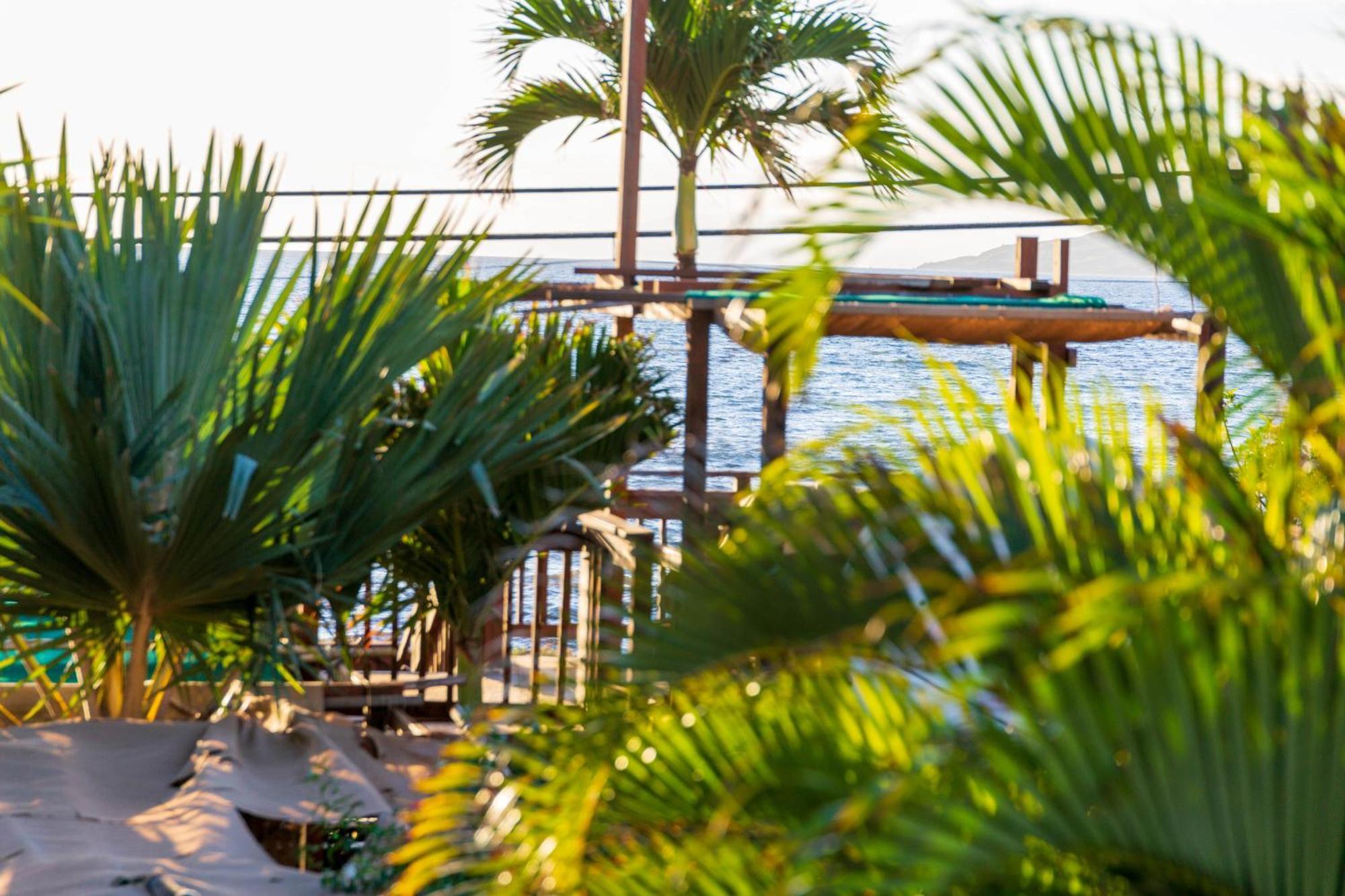 Lotus Suite, 1 Bedroom, Sleeps 4, Pool & Bbq, Pre-Renovation Summer Sale Kihei Εξωτερικό φωτογραφία